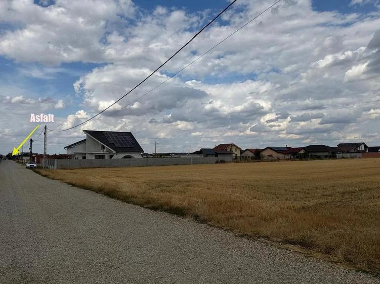 Teren de 10000 mp, în Sântandrei