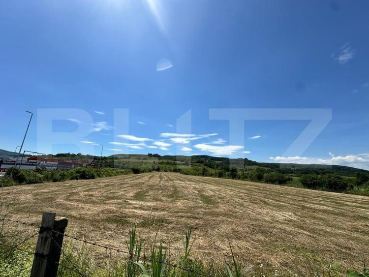 Teren Construcții intravilan de 12647 mp, în Cugir
