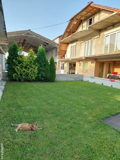 Apartament cu 2 camere decomandat în Dobra