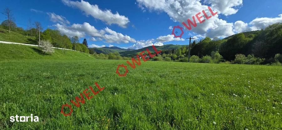 Teren de 6500 mp, în Sita Buzăului