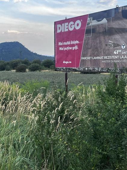 Spațiu comercial, în Viișoara
