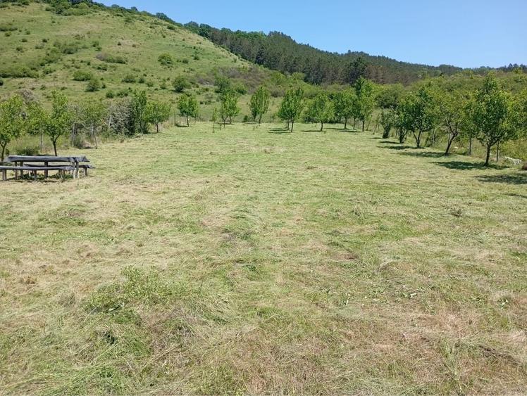 Teren de 12000 mp, în Țaga