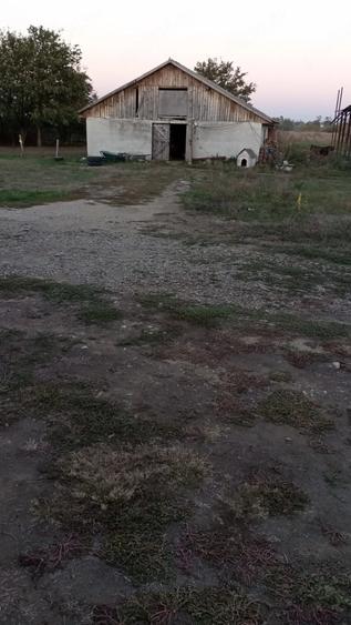 Teren de 5000 mp, în Central