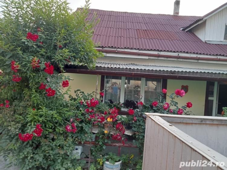 Casă cu 2 camere cu Teren 240 Mp în Sighetu Marmației