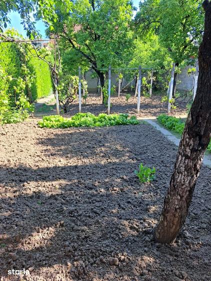 Casă cu 3 camere cu Teren 500 Mp în Rogerius