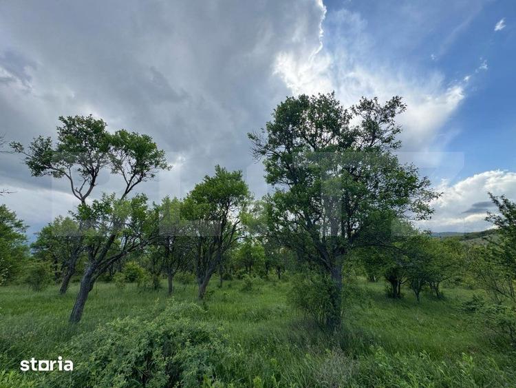 Teren extravilan de vanzare, 5305 mp, in apropiere de Hateg - 1