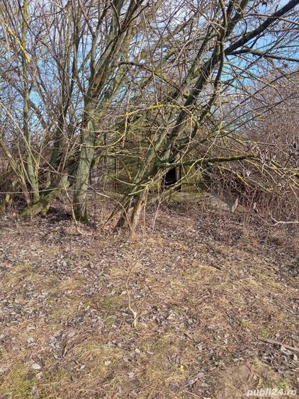 Teren de 2500 mp, în Beriu