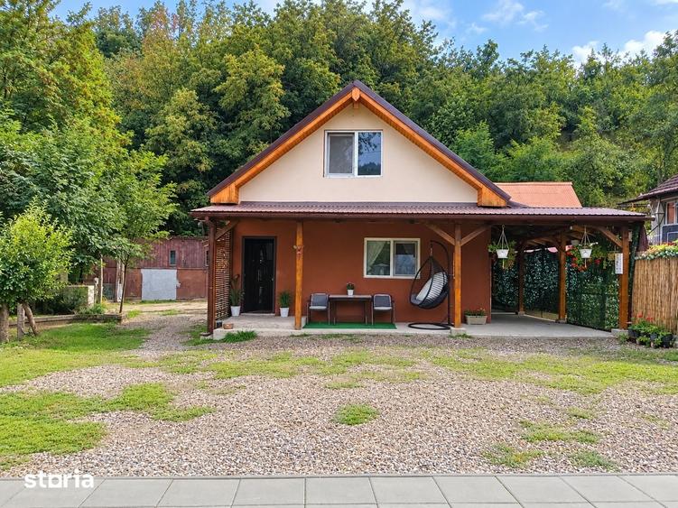 Casă cu 3 camere cu Teren 19549 Mp în Vințu de Jos