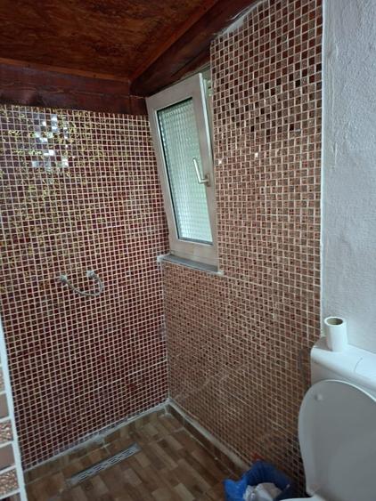 Casă individuală cu 3 camere cu Teren 10000 Mp în Dumitra