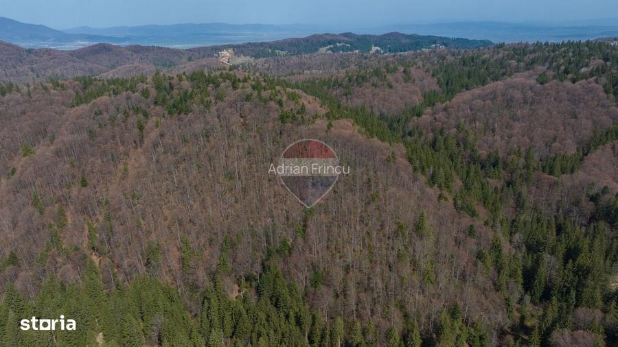 Teren intravilan, 56000 mp, Poiana Brasov