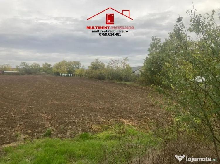 Casă cu 3 camere cu Teren 3895 Mp în Rândunica