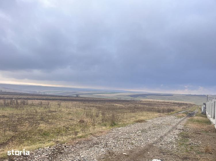 Teren de 800 mp, în Moara