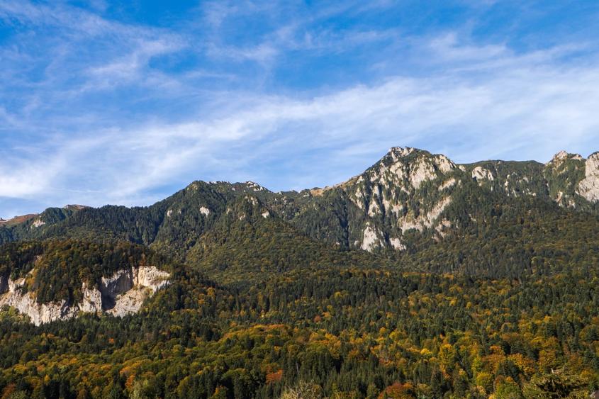 Casă individuală cu 3 camere cu Canalizare în Piatra Arsă