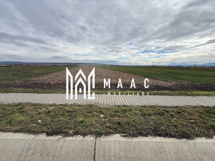Teren Construcții intravilan de 9600 mp, în Șura Mică