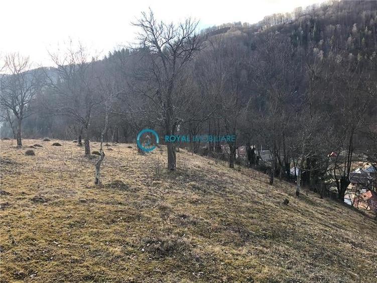 Teren Construcții intravilan de 5041.41015625 mp, în Voineasa