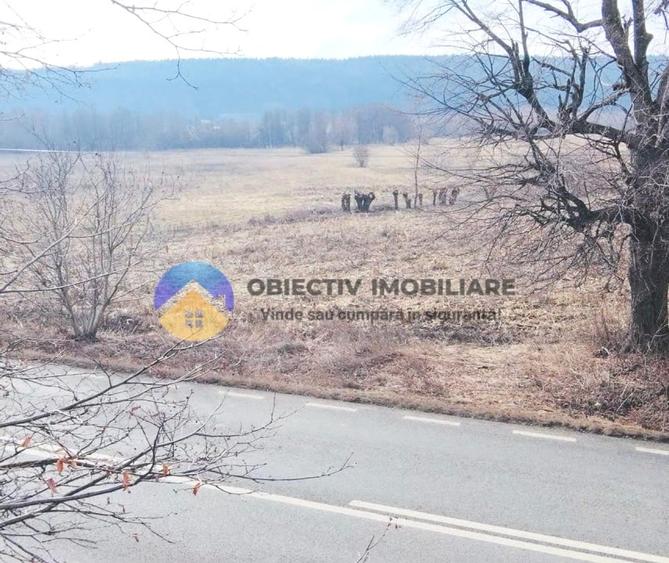 Teren intravilan de 3035 mp, în Bodești