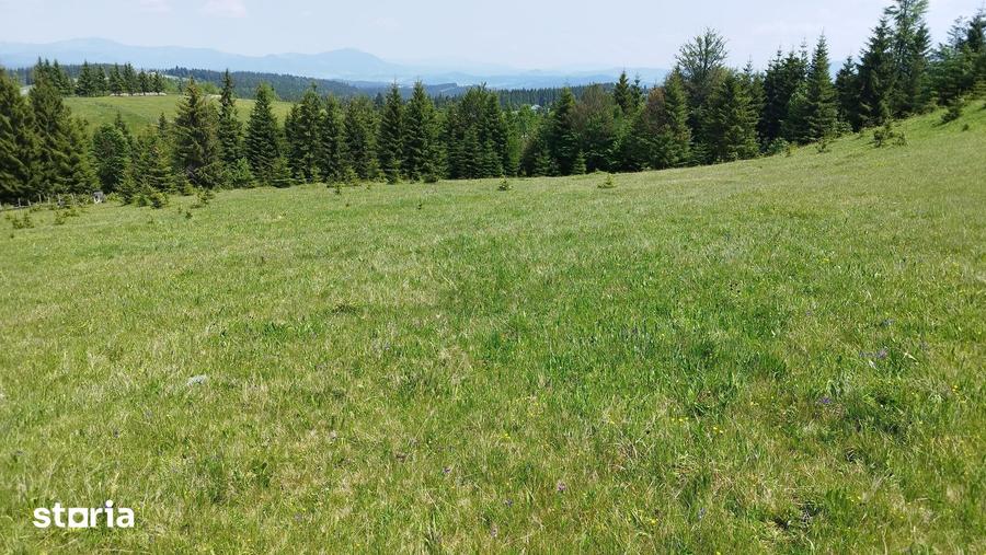 Teren de 700 mp, în Tiha Bârgăului