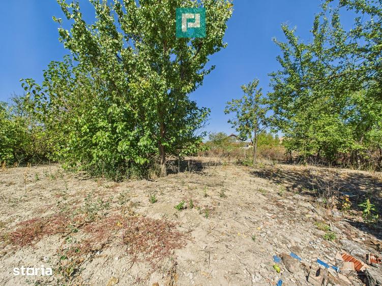 Casă cu 3 camere cu Teren 719 Mp în Moravița