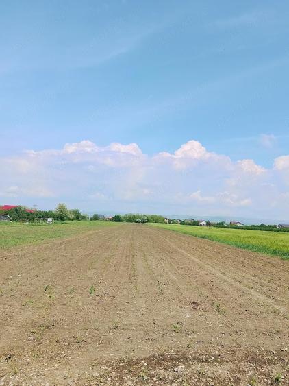 Teren de 5400 mp, în Baba Ana