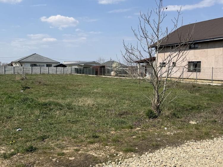 Teren de 1000 mp, în Sântandrei
