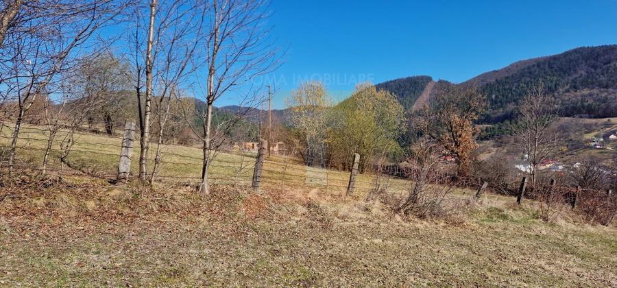 Teren Construcții intravilan de 4000 mp, în Alexandru cel Bun