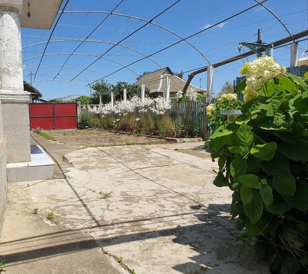 Casă cu Teren 1853 Mp în Sarichioi