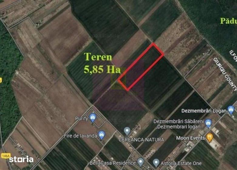 Sabareni, teren 5,85 ha, intravilan reziden?ial, intre 2 paduri - 1