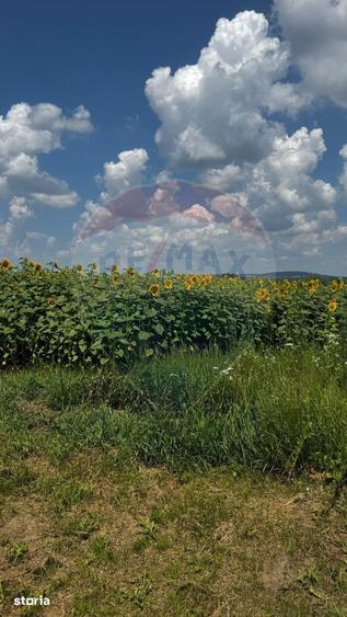 Teren de 6000 mp, în Costâna