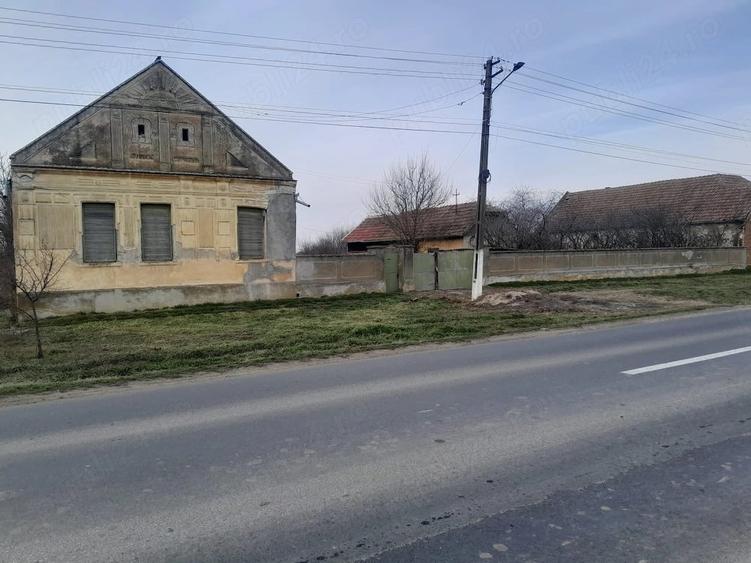 Casă cu 3 camere cu Teren 3000 Mp în Satu Mare