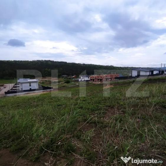Teren de vanzare in Valea Lupului Strada Lacului | 2 p - 1