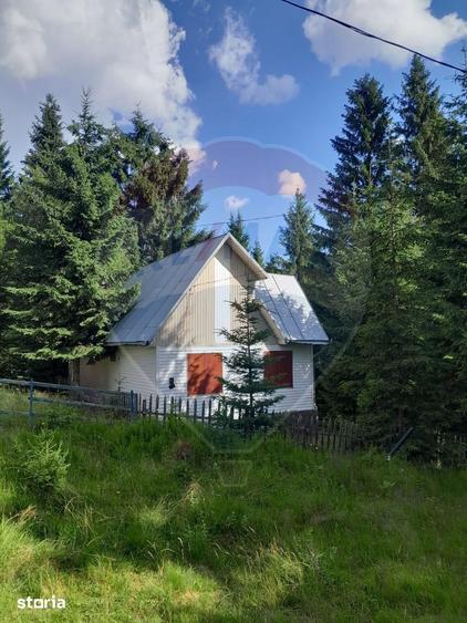 Cabana de vanzare in Muntele Bai?orii Zona Jera - 17