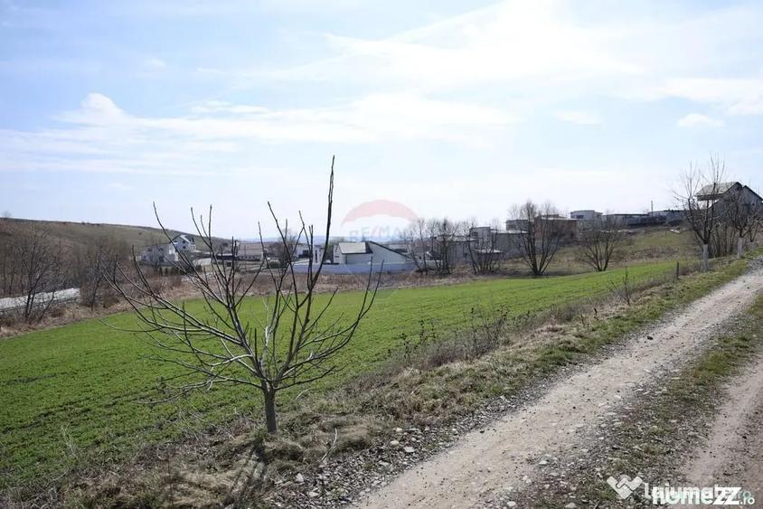 Teren în Moara