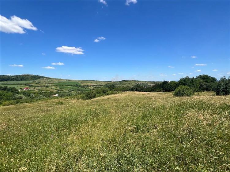 Teren Construcții intravilan de 17475 mp, în Tomești