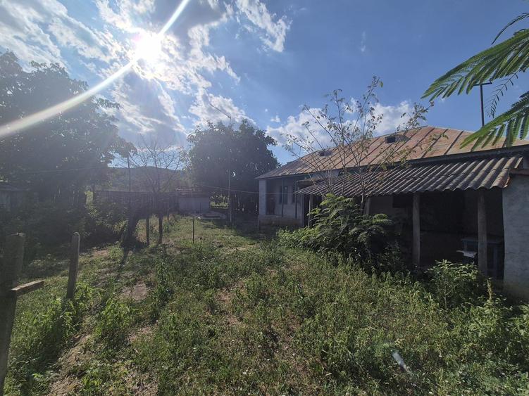 Casă cu 3 camere în Hamcearca