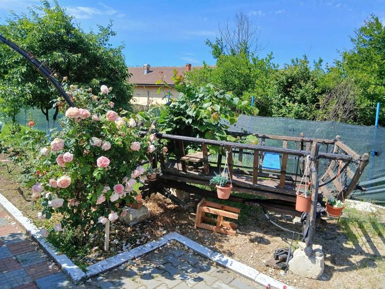 Casă cu 4 camere în Ciolpani