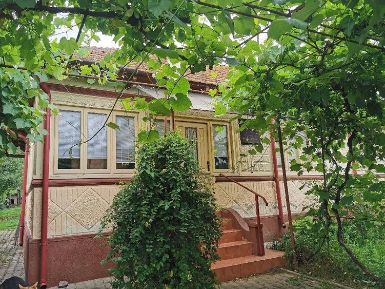 Casă cu 3 camere cu Teren 5551 Mp în Valea Sălciilor