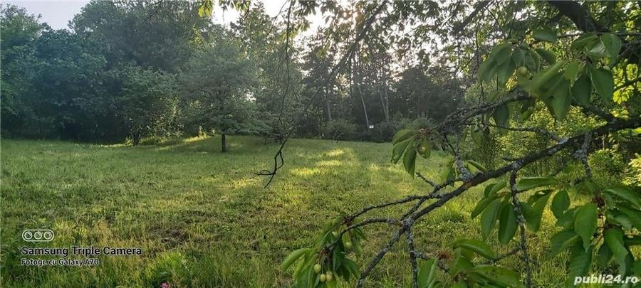Teren de 1000 mp, în Călugareni