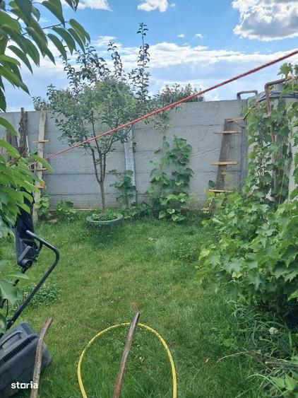 Casa Deosebita pe Structura de Lemn Domnesti Zona Teghes | padure - 15