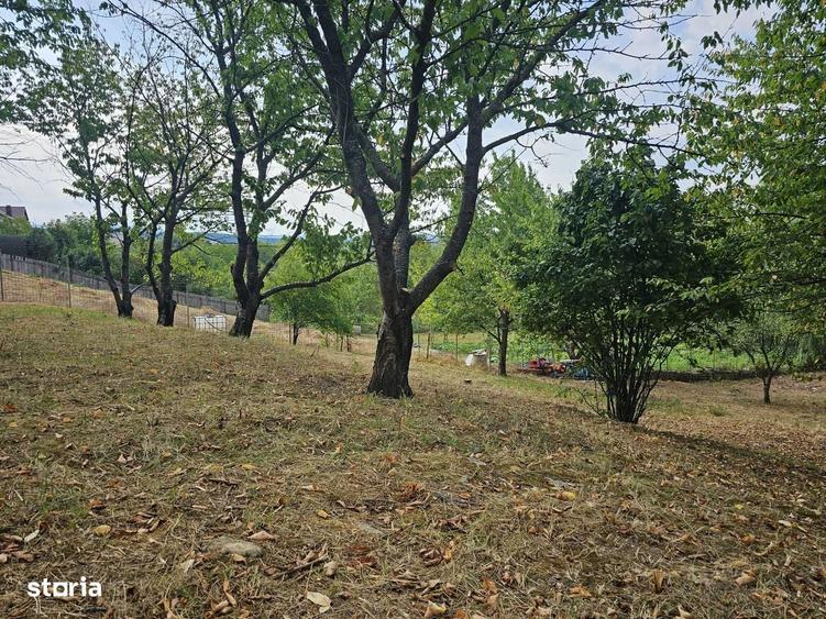 Casă cu 4 camere cu Teren 3000 Mp în Nicolina
