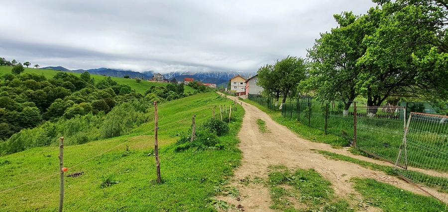 Teren Construcții extravilan de 2500 mp, în Peștera