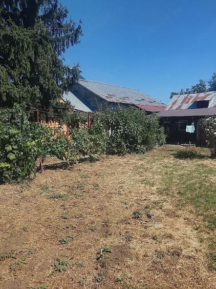 Casă cu 4 camere cu Teren 1535 Mp în Dridu