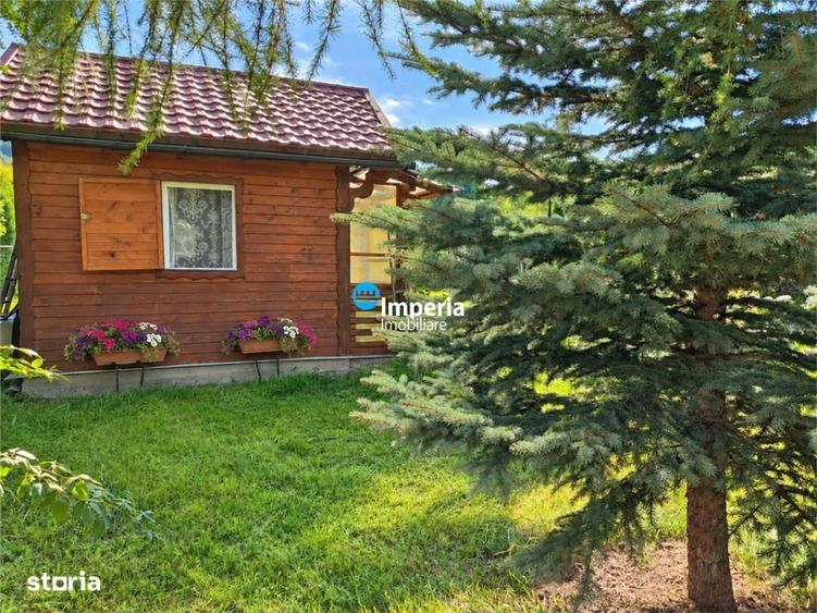 Campulung Moldovenesc, zona Cucoara | 4.544 mp teren | 2 casute locuib - 18