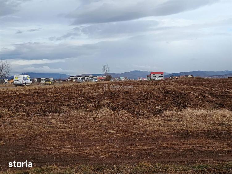 Teren de 9000 mp, în Est