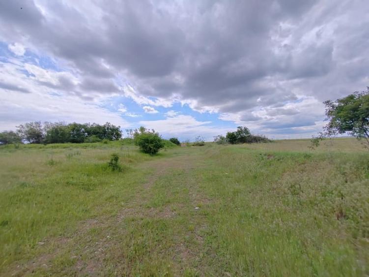 Teren de 114000 mp, în Ariceștii Rahtivani