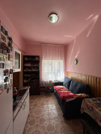 Apartament cu 2 camere semidecomandat, mobilat în Iosefin