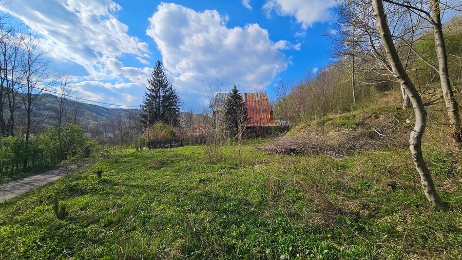 Teren Construcții intravilan de 1800 mp, în Brebu Megieșesc