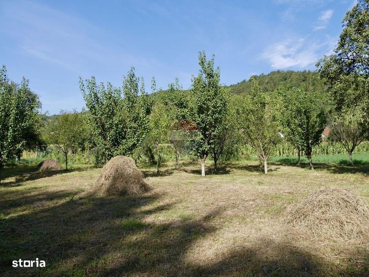 Casă cu 2 camere în Vurpăr