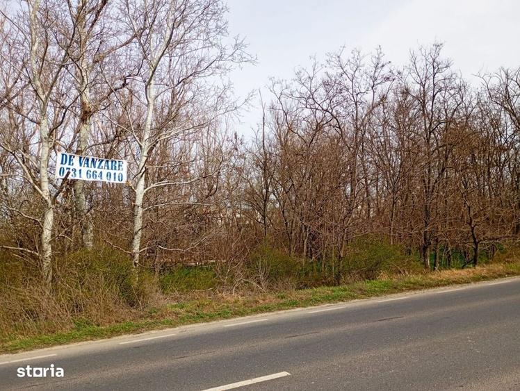 Spațiu comercial, în Central