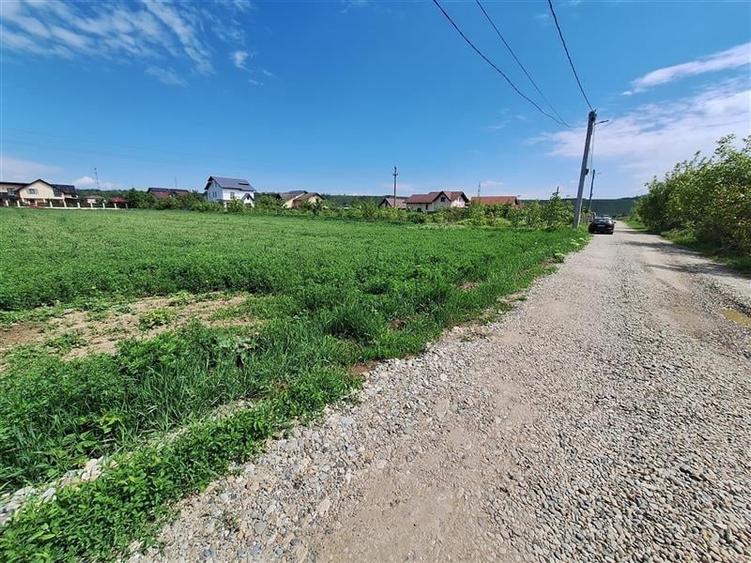 Teren Construcții intravilan de 3177 mp, în Șerbănești
