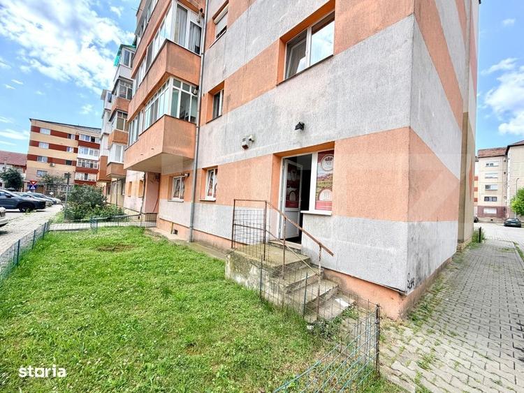 Apartament 2 camere, 50 mp, parter, complet renovat, zona Cetate-Liceu - 3